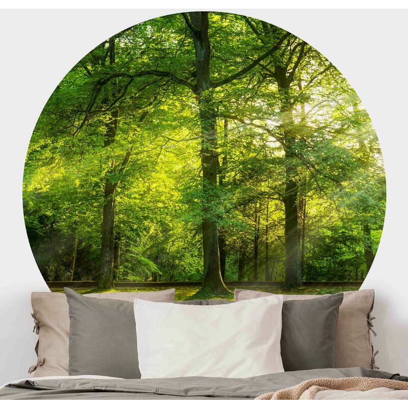 

Papel pintado redondo autoadhesivo - Walk In The Woods Dimensión LxA: 50cm x 50cm