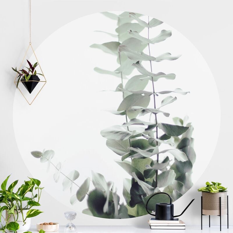 

Papel pintado redondo autoadhesivo - Eucalyptus In White Light Dimensión LxA: 200cm x 200cm