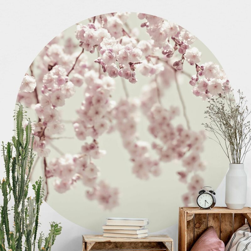

Papel pintado redondo autoadhesivo - Dancing Cherry Blossoms Dimensión LxA: 150cm x 150cm