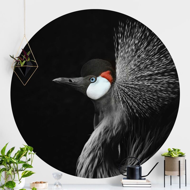 

Papel pintado redondo autoadhesivo - Black Crowned Crane Dimensión LxA: 200cm x 200cm