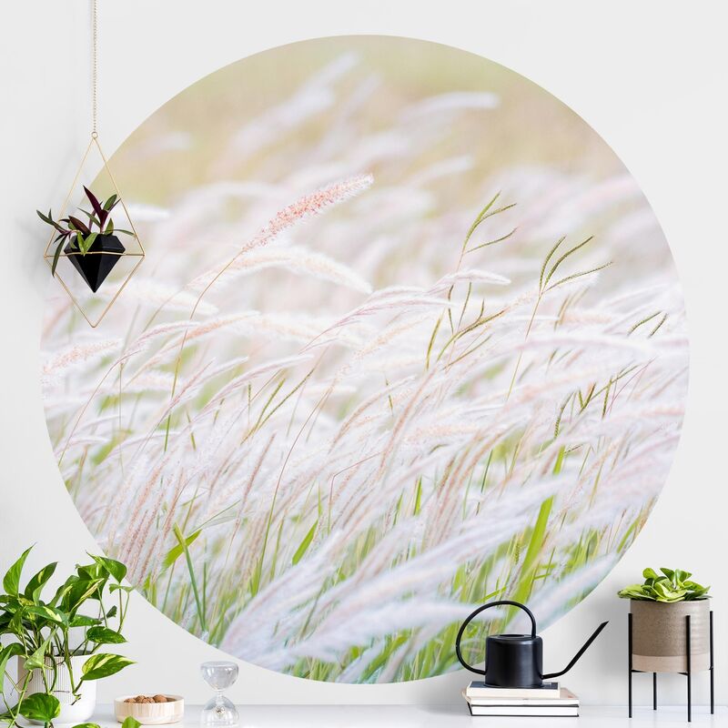 

Papel pintado redondo autoadhesivo - Soft Grasses Dimensión LxA: 200cm x 200cm