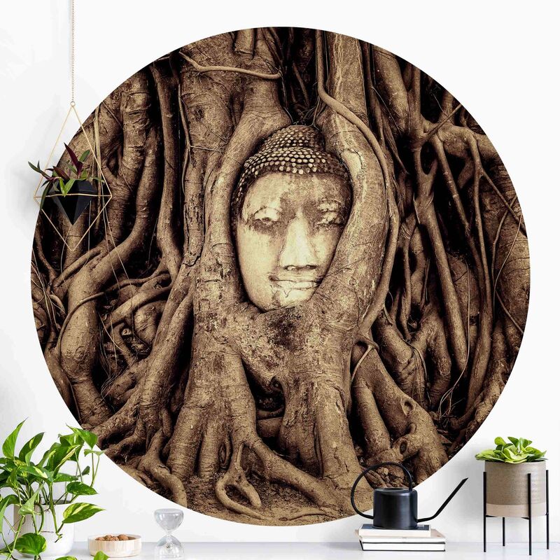 

Papel pintado redondo autoadhesivo - Buddha In Ayutthaya Lined From Tree Roots In Black And White Dimensión LxA: 244cm x 244cm