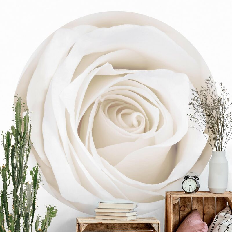 

Papel pintado redondo autoadhesivo - Pretty White Rose Dimensión LxA: 175cm x 175cm