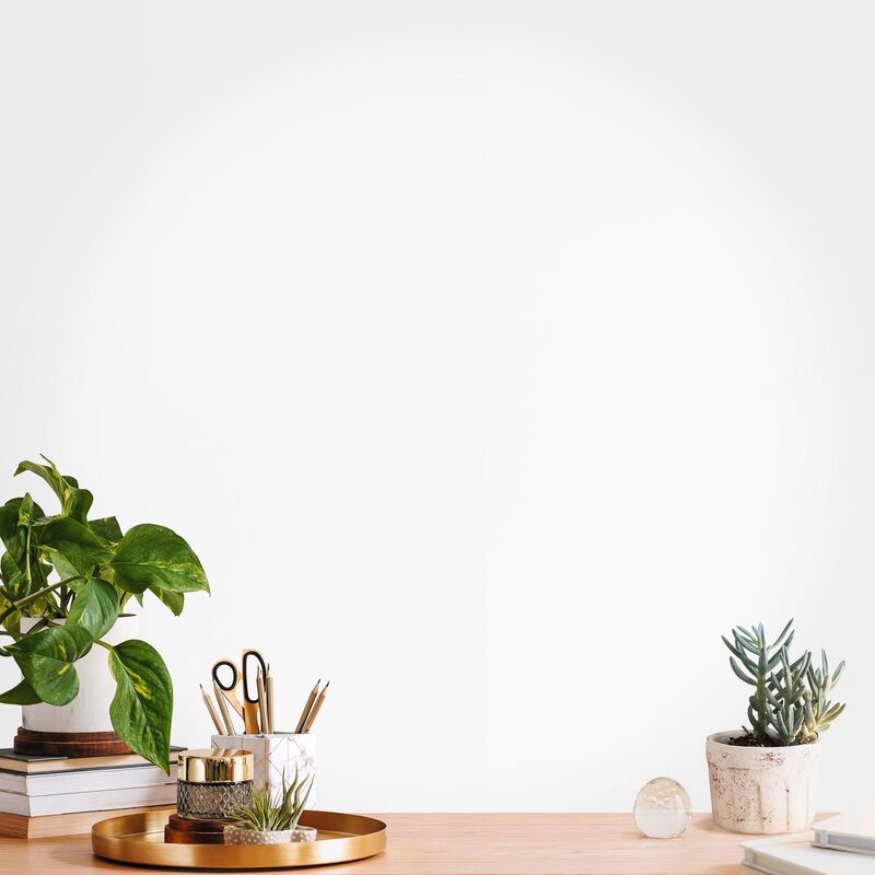 

Papel pintado redondo autoadhesivo - Polar White Dimensión LxA: 150cm x 150cm