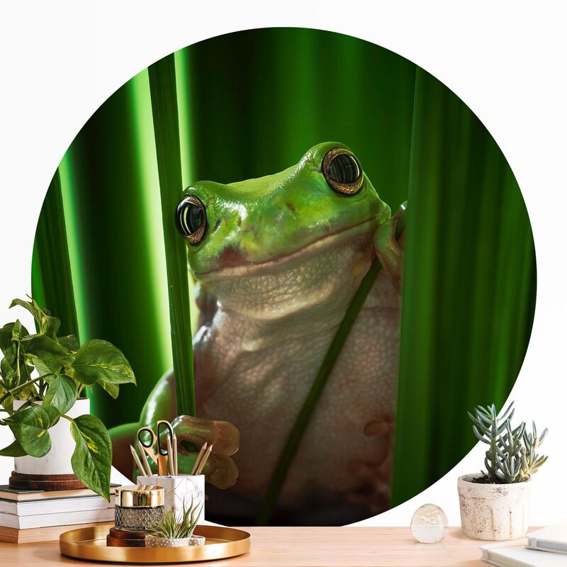 

Papel pintado redondo autoadhesivo - Happy Frog Dimensión LxA: 225cm x 225cm