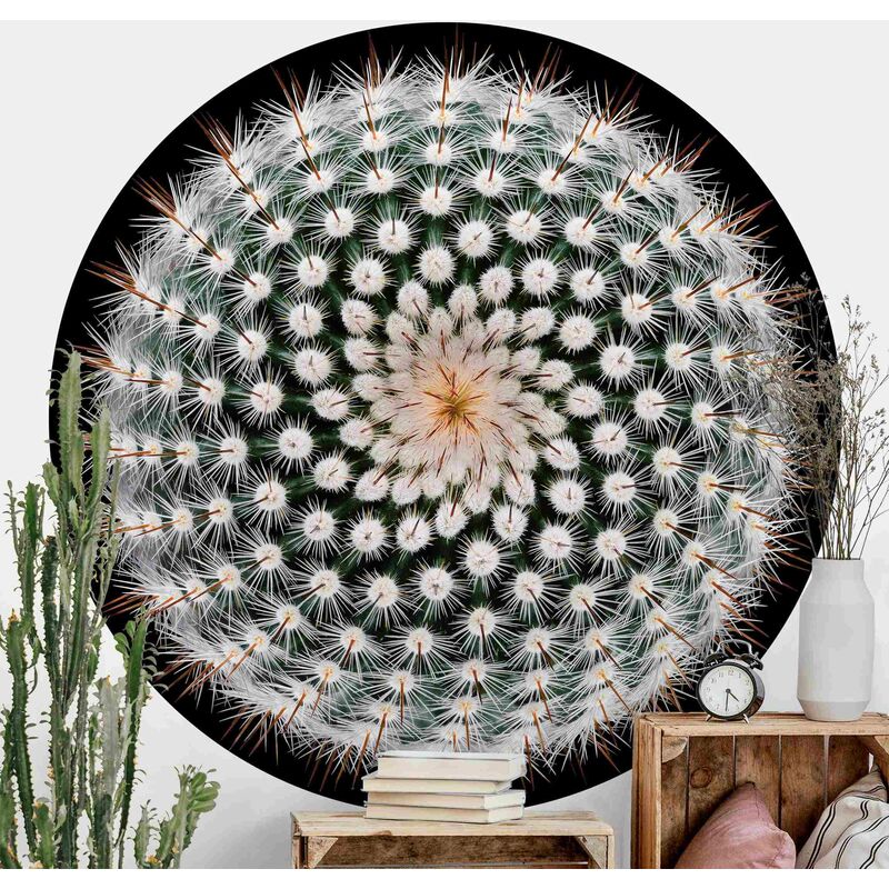 

Papel pintado redondo autoadhesivo - Cactus Flower Dimensión LxA: 225cm x 225cm