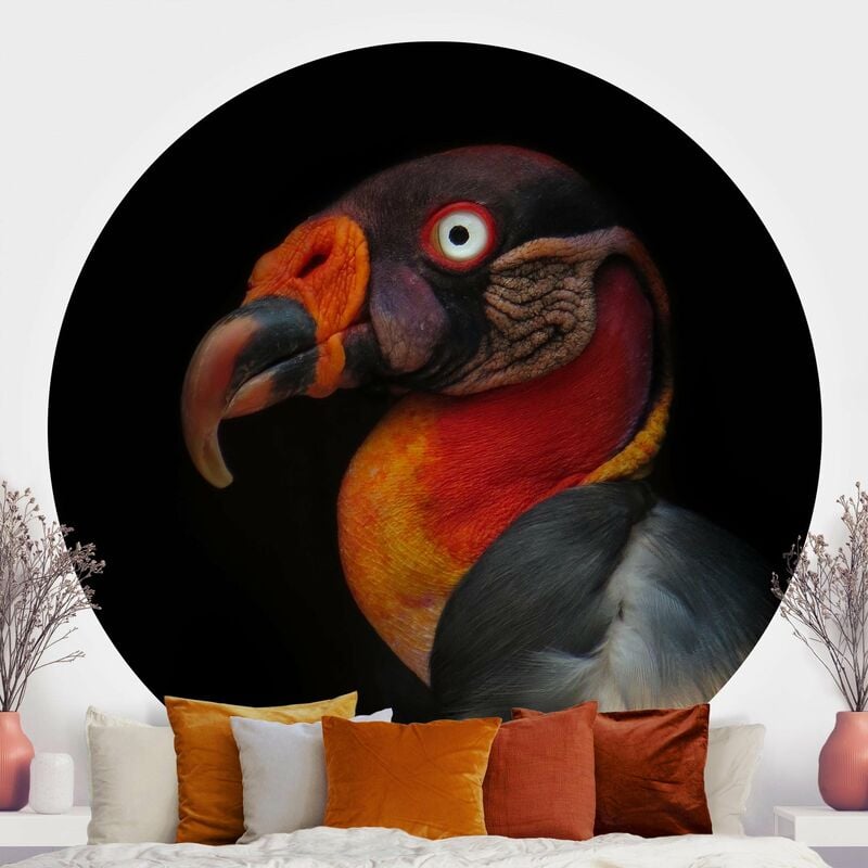 

Papel pintado redondo autoadhesivo - King Vulture In Front Of Black Dimensión LxA: 122cm x 122cm