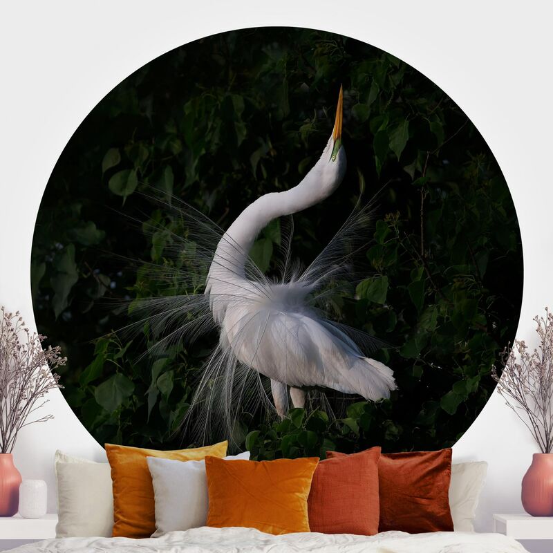 

Papel pintado redondo autoadhesivo - Dancing EgretsIn Front Of Black Dimensión LxA: 244cm x 244cm