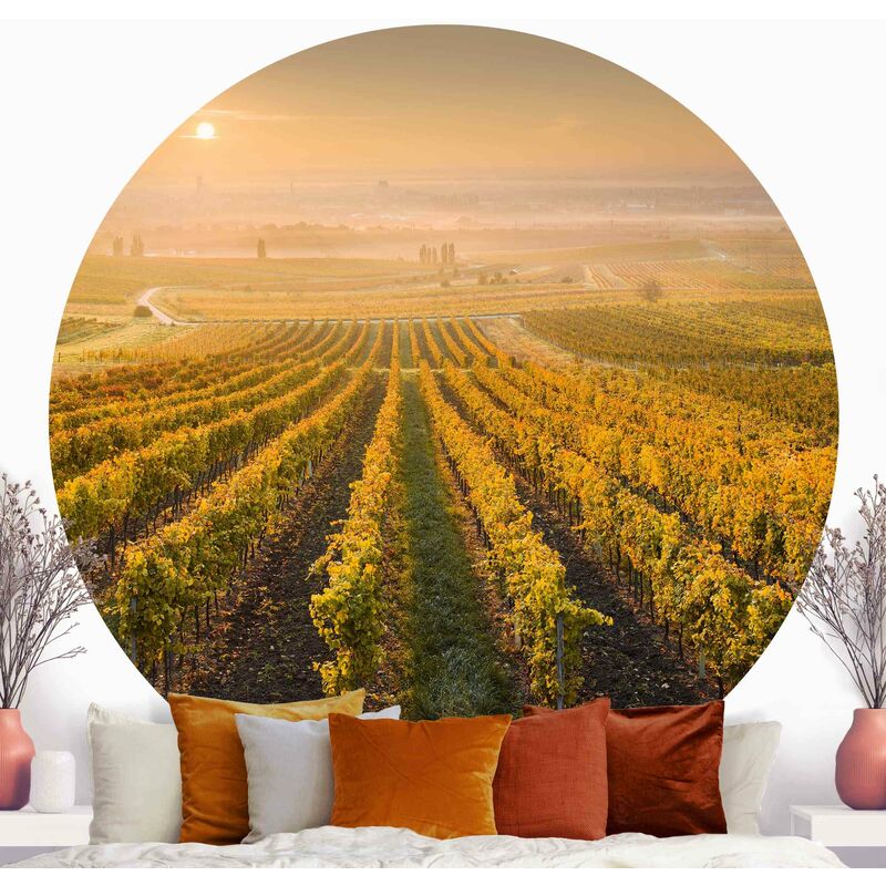 

Papel pintado redondo autoadhesivo - Autumnal Vineyards Near Vienna Dimensión LxA: 122cm x 122cm