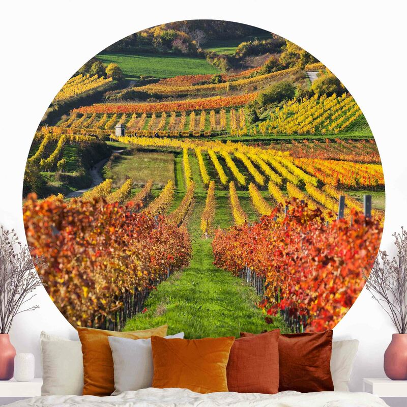 

Papel pintado redondo autoadhesivo - Vineyard View Dimensión LxA: 175cm x 175cm