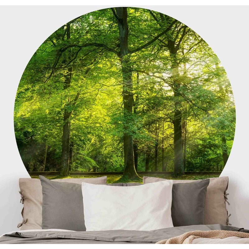 

Papel pintado redondo autoadhesivo - Walk In The Woods Dimensión LxA: 225cm x 225cm