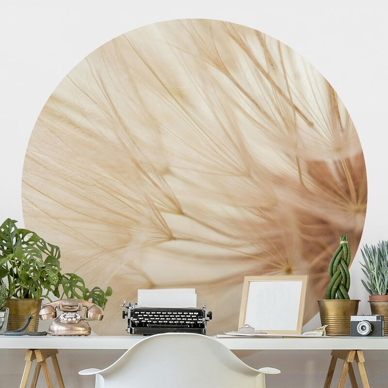 

Papel pintado redondo autoadhesivo - Soft Dandelions Dimensión LxA: 225cm x 225cm