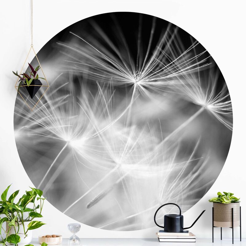 

Papel pintado redondo autoadhesivo - Bianco Carrara Dimensión LxA: 200cm x 200cm