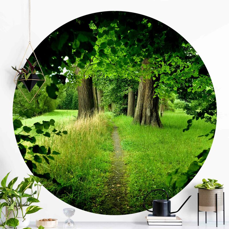 

Papel pintado redondo autoadhesivo - Hidden Glade Dimensión LxA: 200cm x 200cm