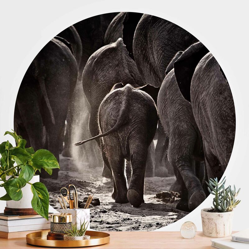 

Papel pintado redondo autoadhesivo - Going Home Dimensión LxA: 150cm x 150cm