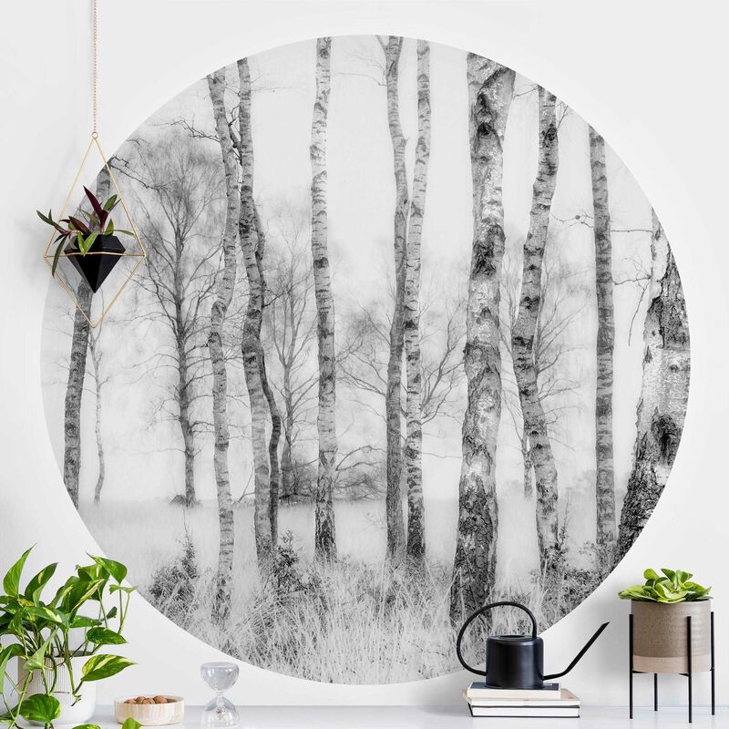 

Papel pintado redondo autoadhesivo - Mystic Birch Forest Black And White Dimensión LxA: 200cm x 200cm