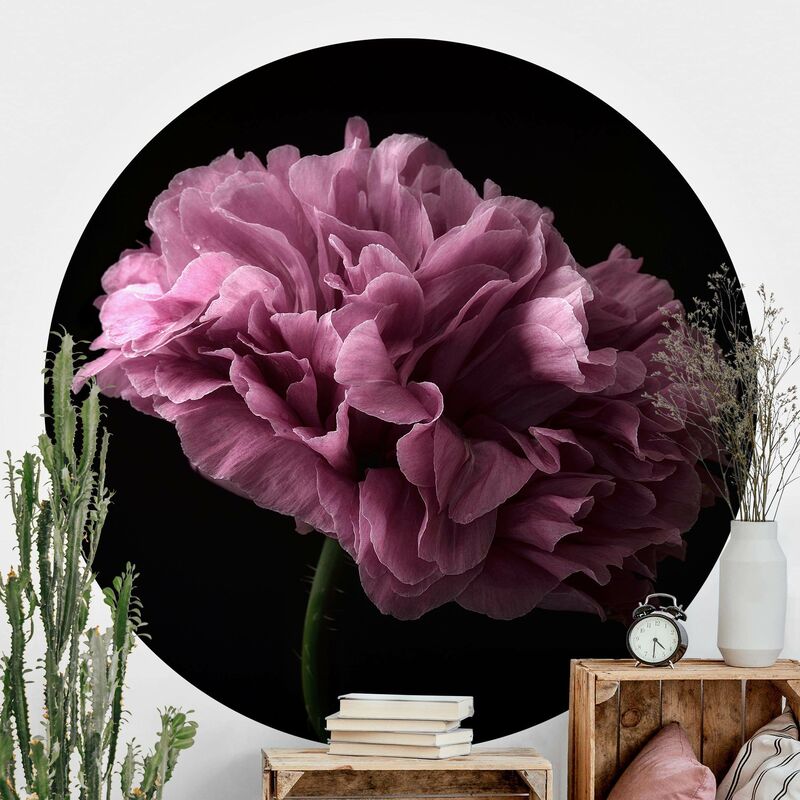 

Papel pintado redondo autoadhesivo - Proud Peony In Front Of Black Dimensión LxA: 75cm x 75cm