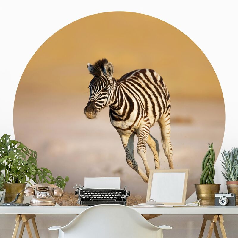 

Papel pintado redondo autoadhesivo - Zebra Foal Dimensión LxA: 150cm x 150cm