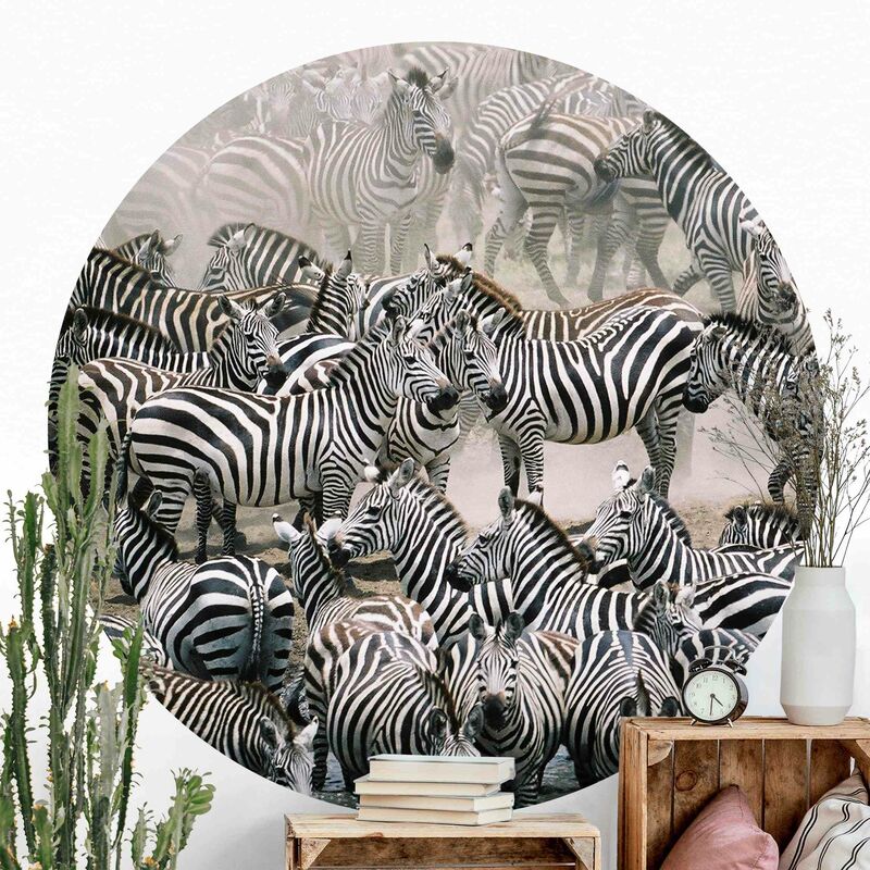 

Papel pintado redondo autoadhesivo - Zebra Herd Dimensión LxA: 150cm x 150cm