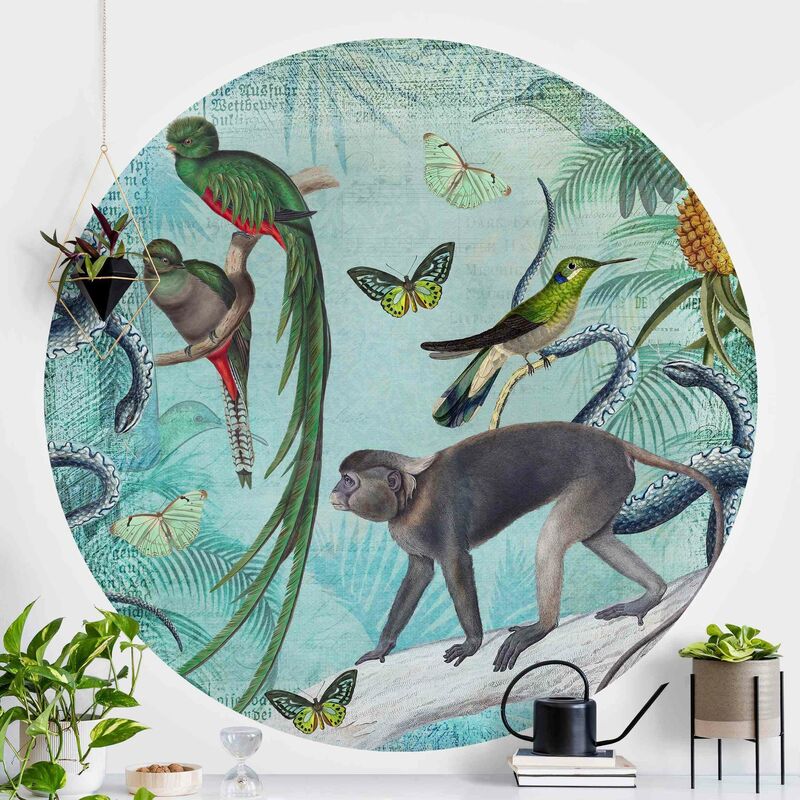 

Papel pintado redondo autoadhesivo - Colonial Style Collage - Monkeys And Birds Of Paradise Dimensión LxA: 122cm x 122cm