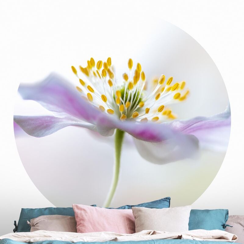 

Papel pintado redondo autoadhesivo - Windflower In White Dimensión LxA: 100cm x 100cm