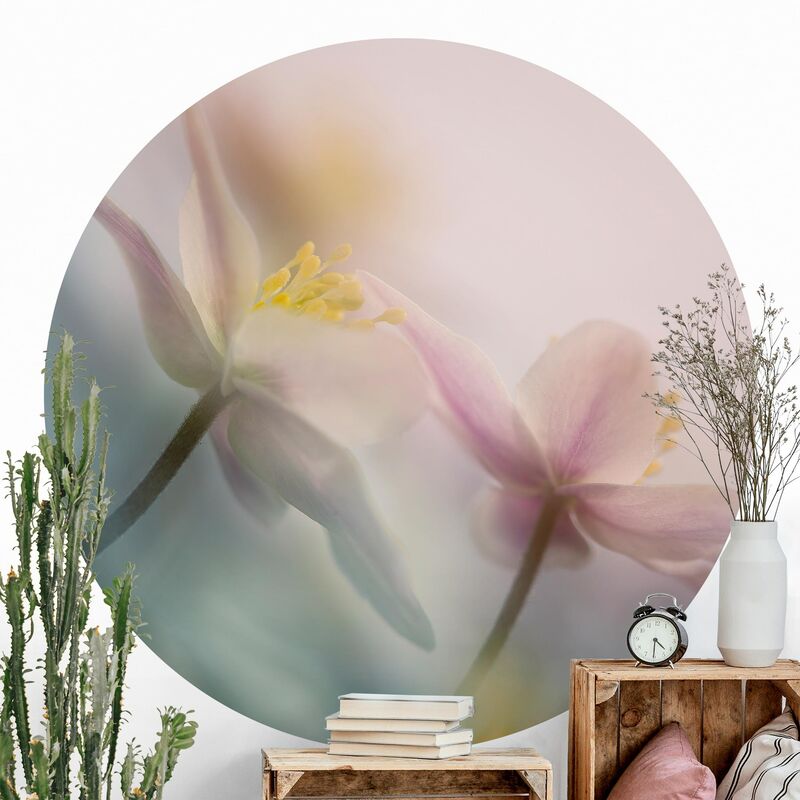 

Papel pintado redondo autoadhesivo - Windflower Dimensión LxA: 225cm x 225cm