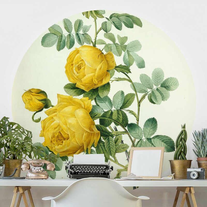 

Papel pintado redondo autoadhesivo - Pierre Joseph Redoute - Rosa Sulfurea Dimensión LxA: 122cm x 122cm