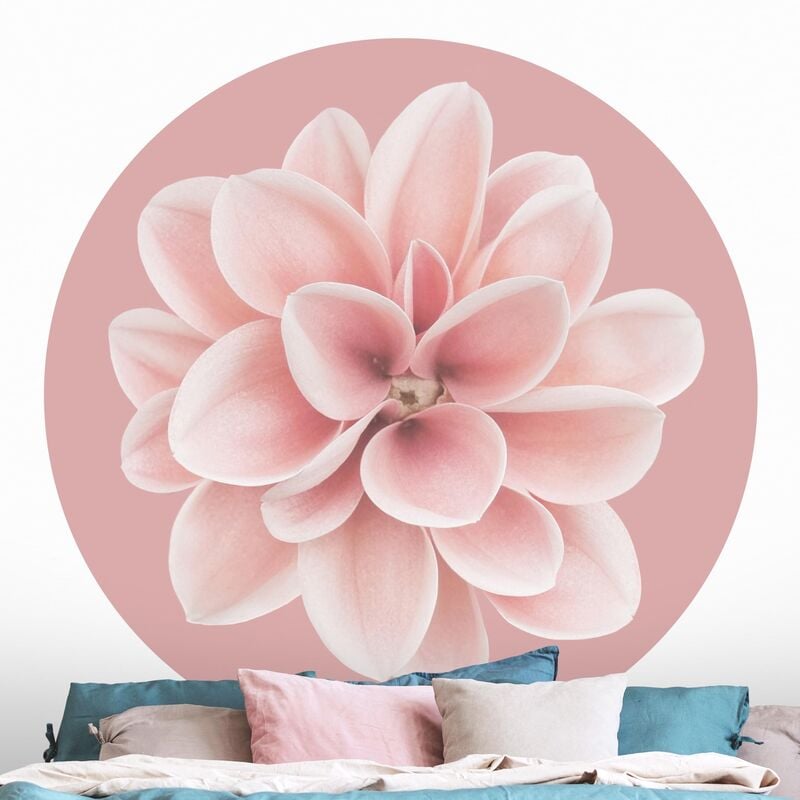 

Papel pintado redondo autoadhesivo - Dahlia On Blush Pink Dimensión LxA: 175cm x 175cm