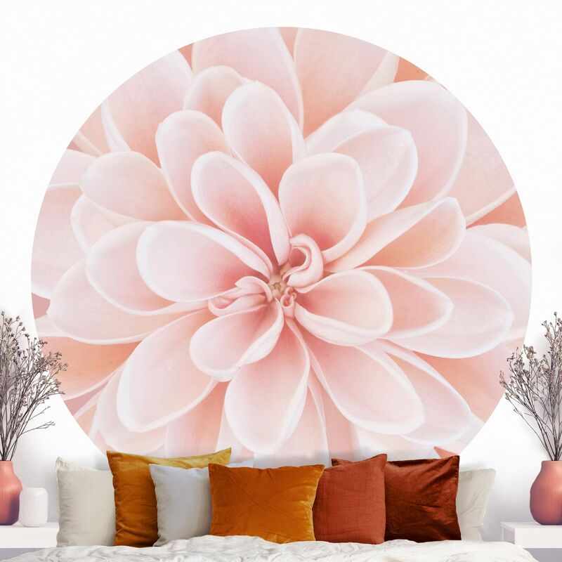 

Papel pintado redondo autoadhesivo - Dahlia In Pastel Pink Dimensión LxA: 200cm x 200cm