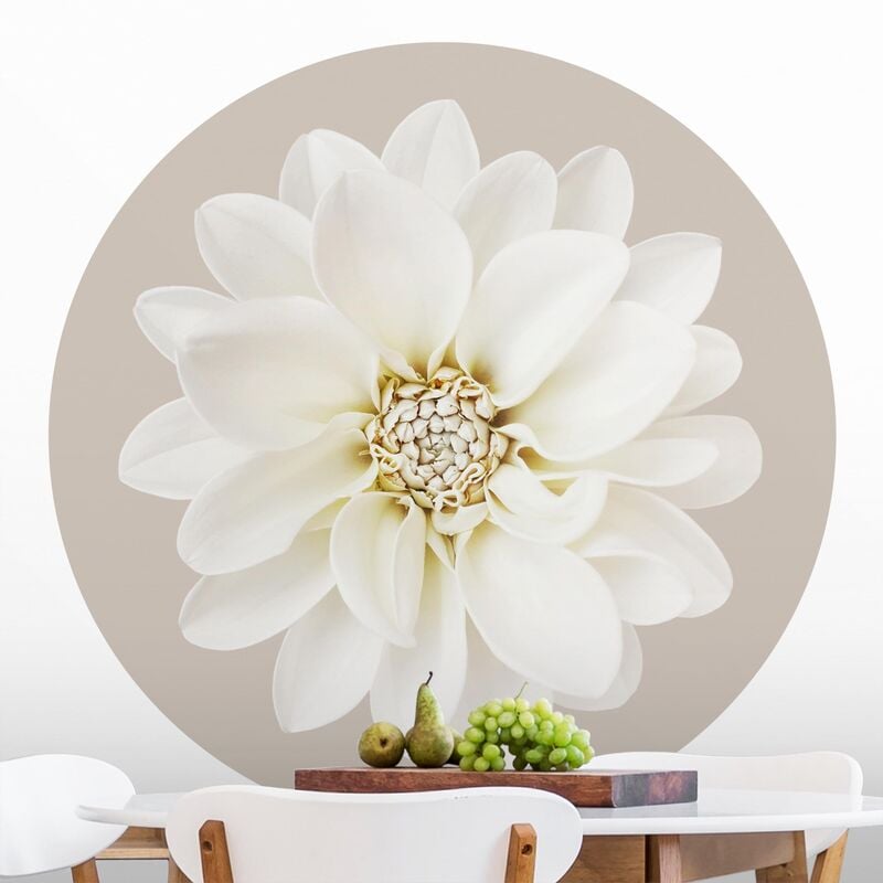 

Papel pintado redondo autoadhesivo - White Dahlia On Cream Dimensión LxA: 175cm x 175cm