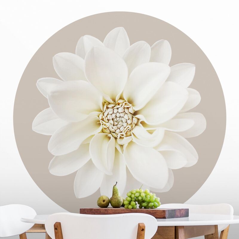 

Papel pintado redondo autoadhesivo - White Dahlia On Cream Dimensión LxA: 225cm x 225cm