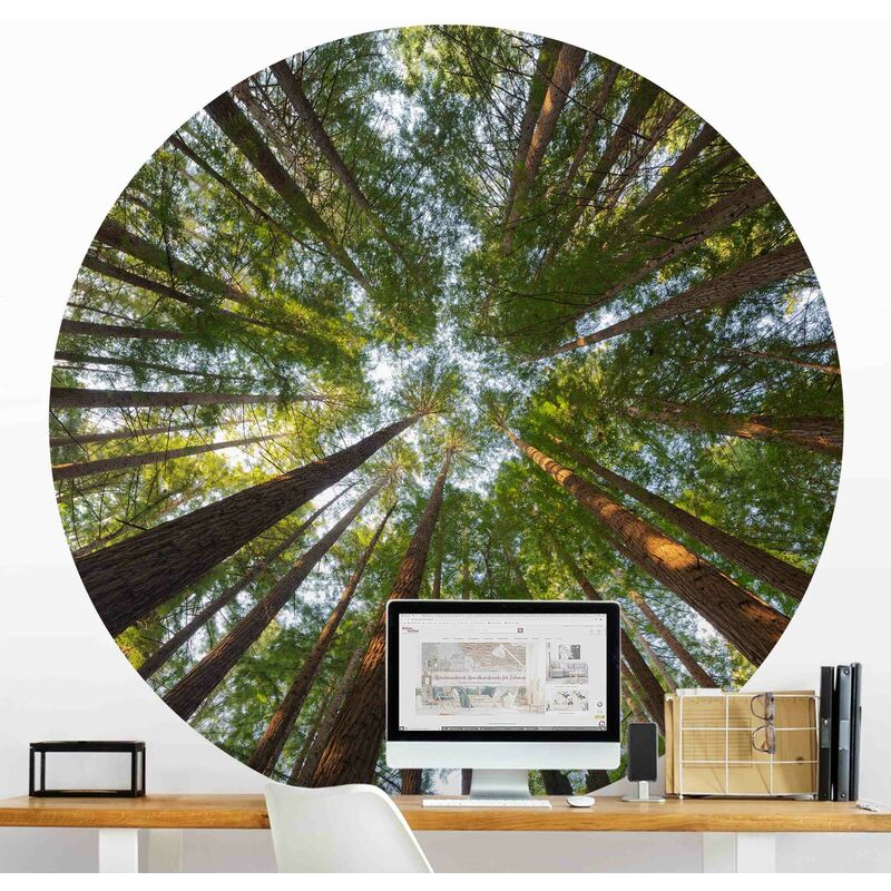 

Papel pintado redondo autoadhesivo - Sequoia Tree Tops Dimensión LxA: 225cm x 225cm