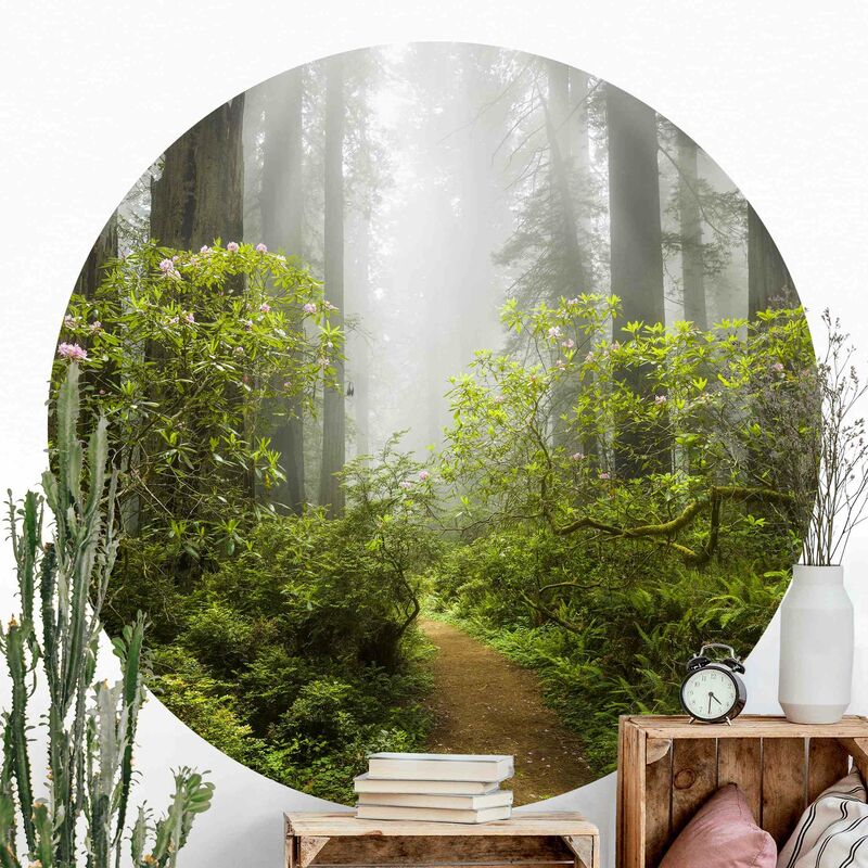 

Papel pintado redondo autoadhesivo - Misty Forest Path Dimensión LxA: 244cm x 244cm