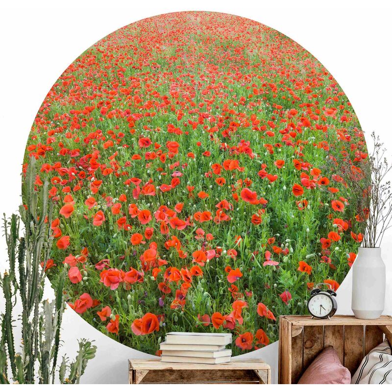 

Papel pintado redondo autoadhesivo - Poppy Field Dimensión LxA: 75cm x 75cm