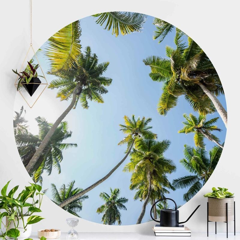

Papel pintado redondo autoadhesivo - Palm Tree Canopy Dimensión LxA: 244cm x 244cm