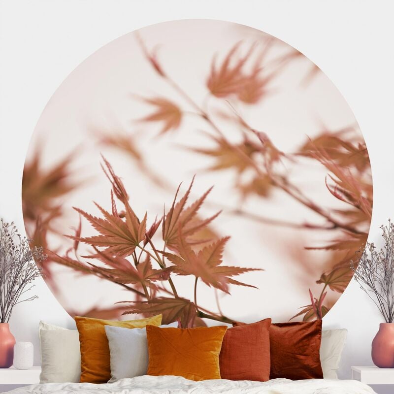 

Papel pintado redondo autoadhesivo - Maple Leaf In Autumn Sun Dimensión LxA: 100cm x 100cm