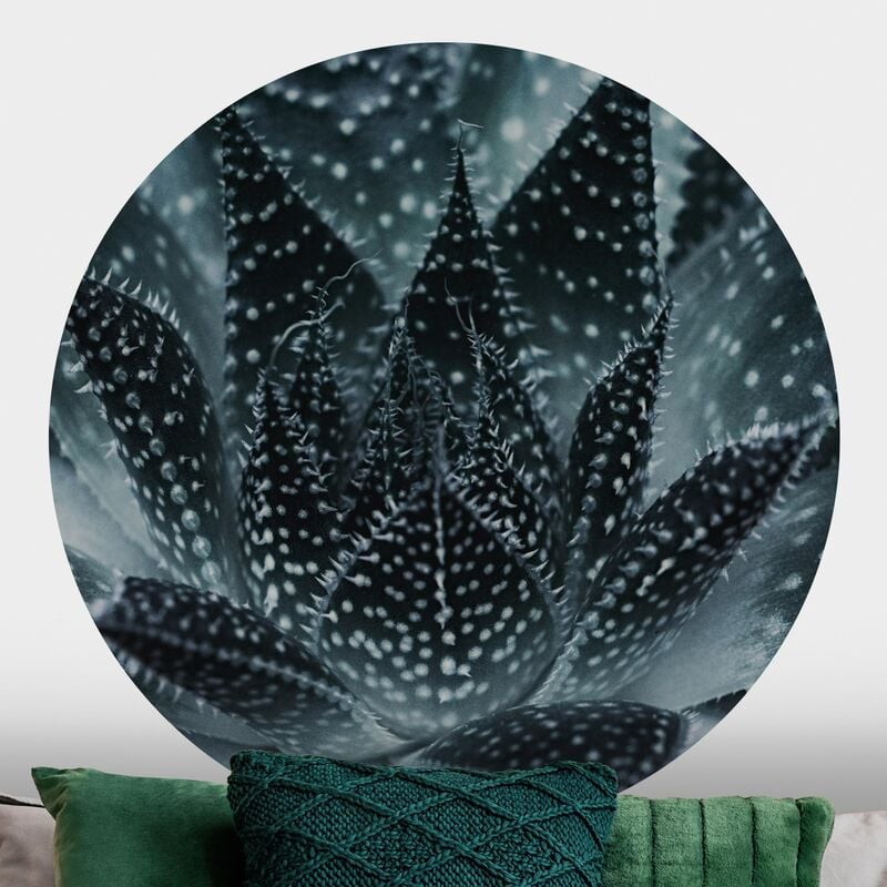 

Papel pintado redondo autoadhesivo - Cactus Drizzled With Starlight At Night Dimensión LxA: 175cm x 175cm