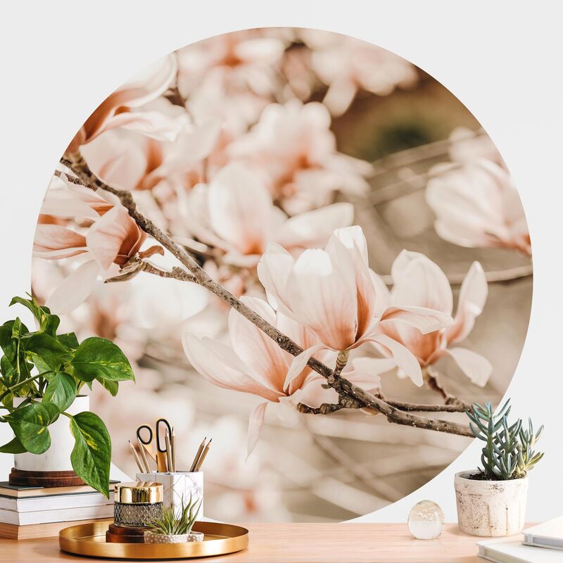 

Papel pintado redondo autoadhesivo - Magnolia Twig Vintage Style Dimensión LxA: 122cm x 122cm