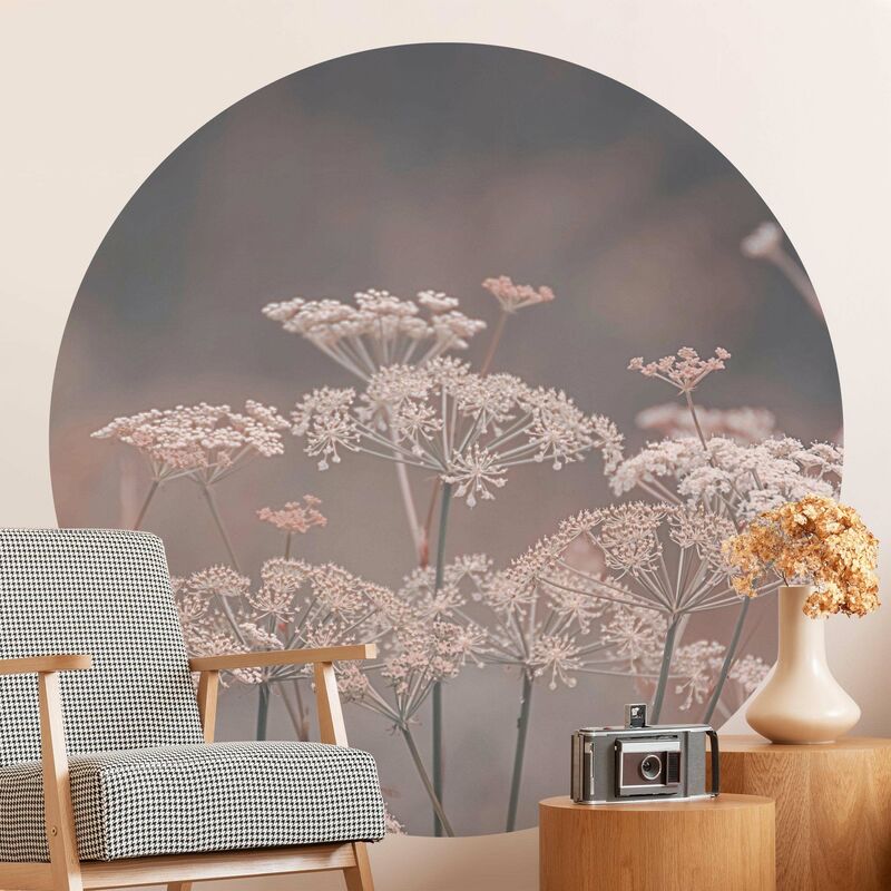 

Papel pintado redondo autoadhesivo - Wild Apiaceae Dimensión LxA: 200cm x 200cm