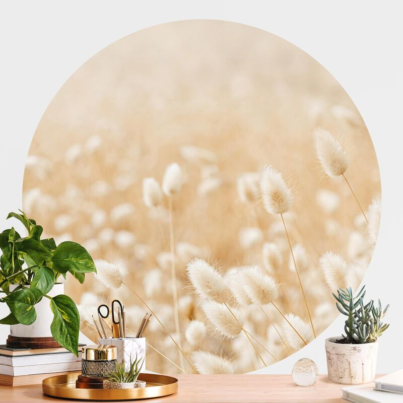 

Papel pintado redondo autoadhesivo - Delicate Grasses Dimensión LxA: 122cm x 122cm