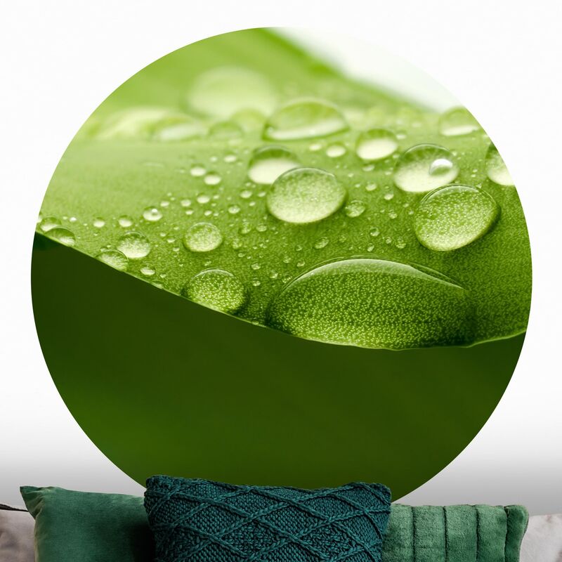 

Papel pintado redondo autoadhesivo - Jungle In The Fog Black And White Dimensión LxA: 225cm x 225cm