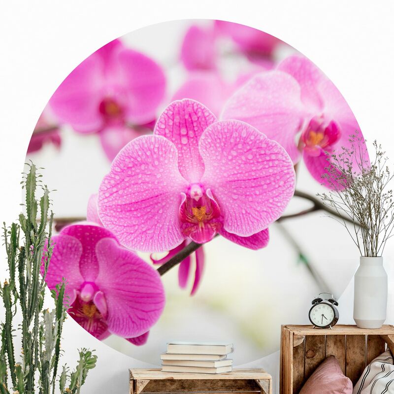 

Papel pintado redondo autoadhesivo - Natural Marble Stone Wall Dimensión LxA: 122cm x 122cm