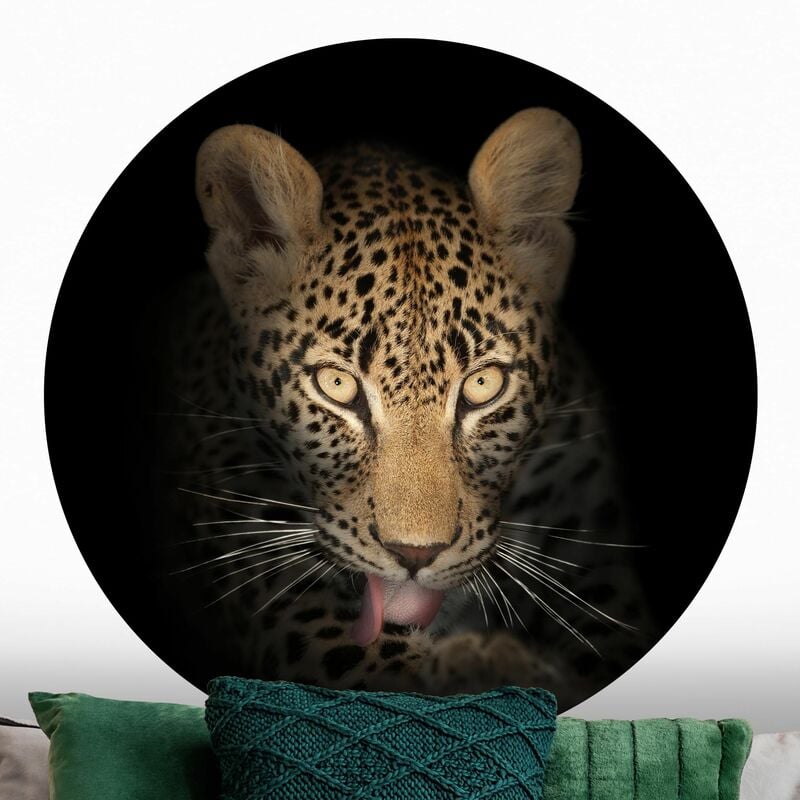 

Papel pintado redondo autoadhesivo - Resting Leopard Dimensión LxA: 100cm x 100cm