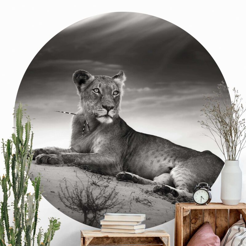 

Papel pintado redondo autoadhesivo - Resting Lion Dimensión LxA: 50cm x 50cm