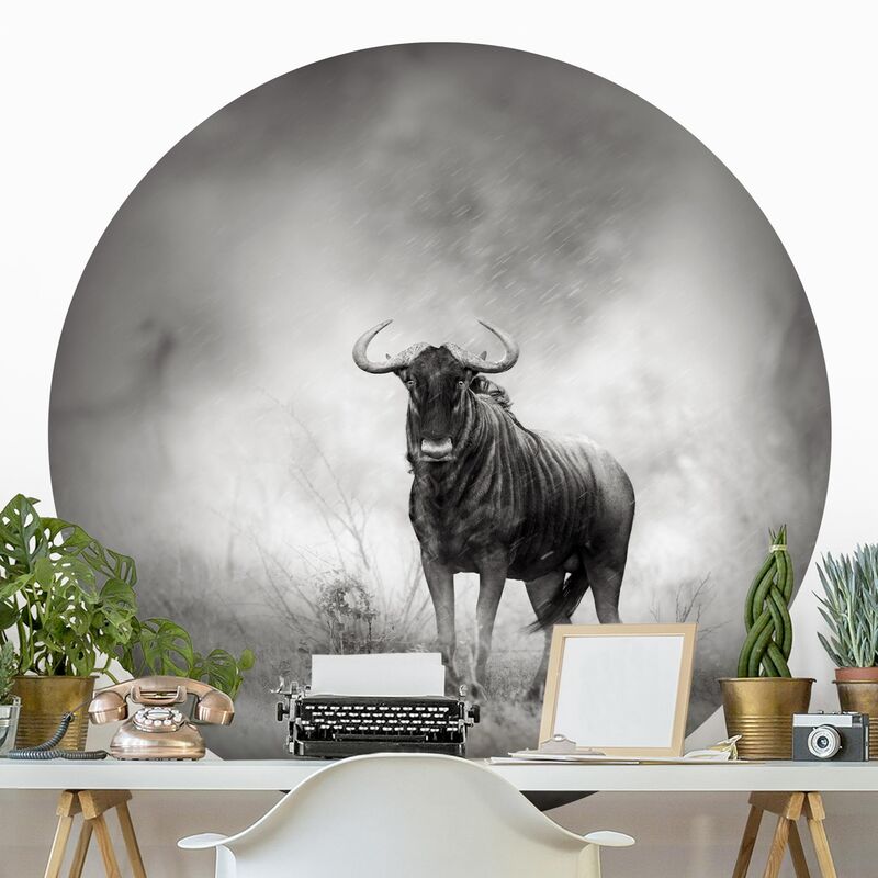 

Papel pintado redondo autoadhesivo - Staring Wildebeest Dimensión LxA: 122cm x 122cm