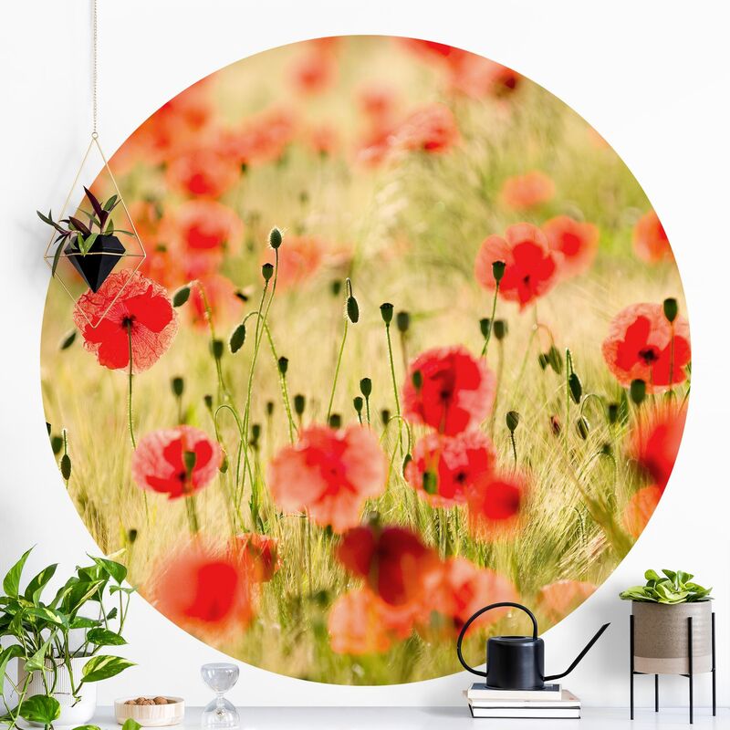 

Papel pintado redondo autoadhesivo - Summer Poppies Dimensión LxA: 122cm x 122cm