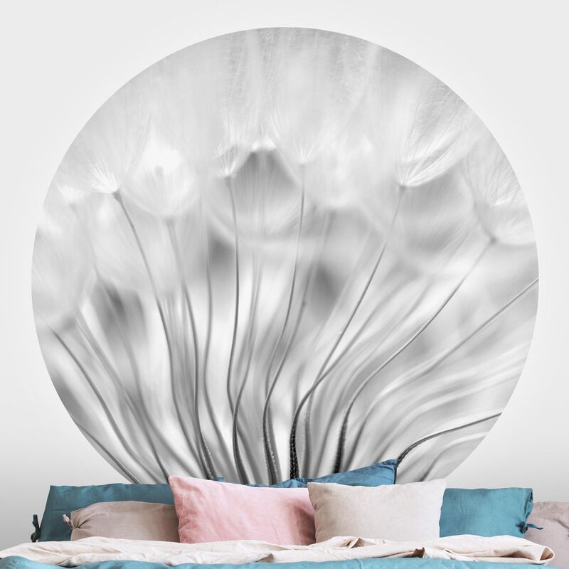 

Papel pintado redondo autoadhesivo - Beautiful Dandelion Black And White Dimensión LxA: 150cm x 150cm