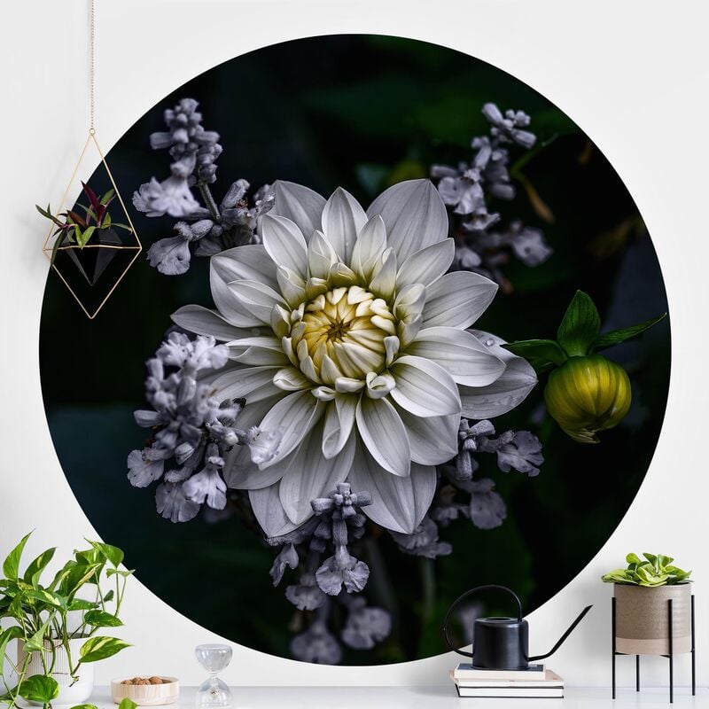 

Papel pintado redondo autoadhesivo - White Dahlia Dimensión LxA: 225cm x 225cm