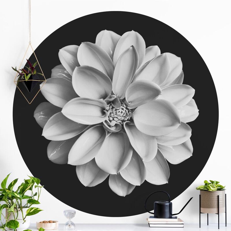 

Papel pintado redondo autoadhesivo - Delicate Dahlia In Black And White Dimensión LxA: 122cm x 122cm