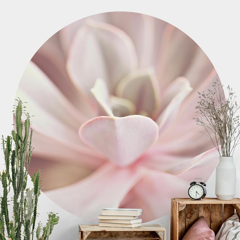 

Papel pintado redondo autoadhesivo - Light Pink Succulent Flower Dimensión LxA: 225cm x 225cm